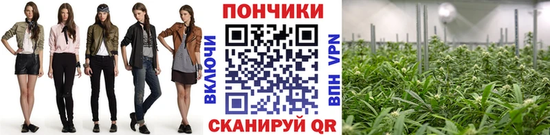 Названия наркотиков Нижнеудинск Амфетамин  СОЛЬ  Меф  ссылка на мегу tor  Каннабис 