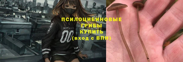 гашик Надым