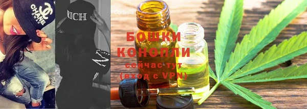 гашик Надым