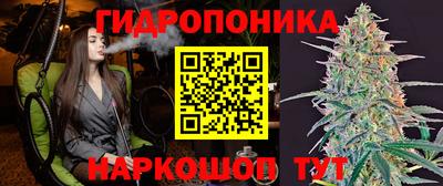 стафф Гусиноозёрск