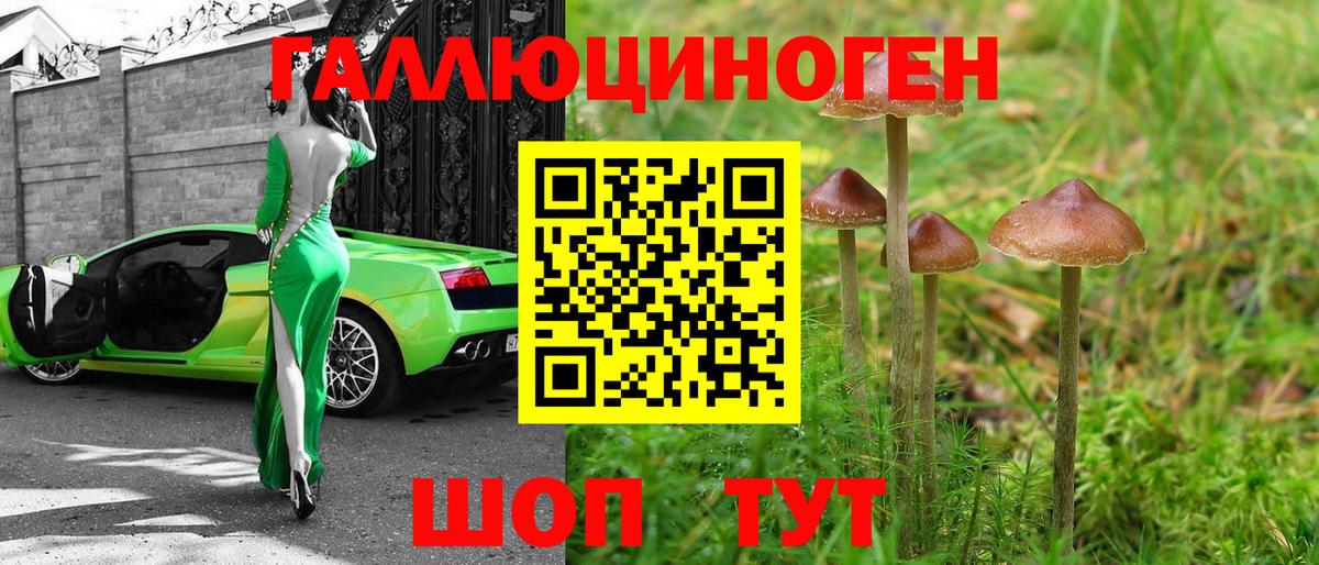 Галлюциногенные грибы мухоморы Нижнеудинск