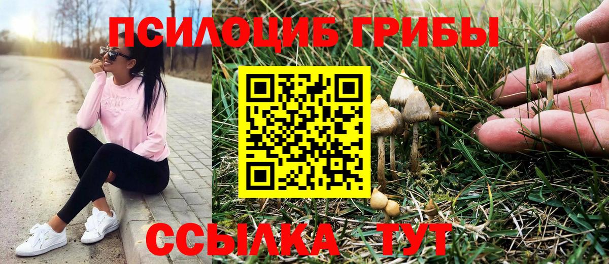 Нижнеудинск  Псилоцибиновые грибы прущие грибы  Вход с VPN 