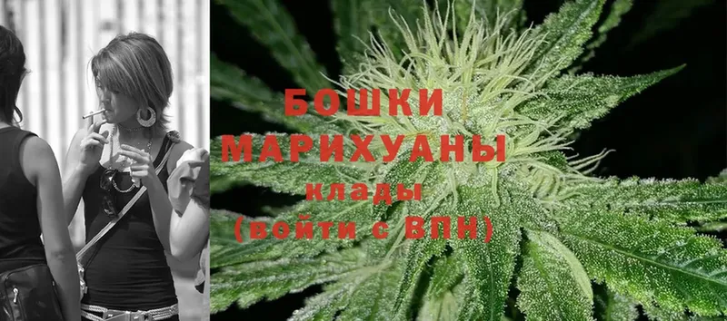 darknet официальный сайт  Нижнеудинск  Бошки марихуана White Widow  купить наркоту 